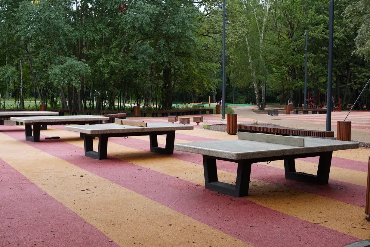 Фото Кусковский лесопарк (парк Кусково) - развлечение в Москве | Досугатор